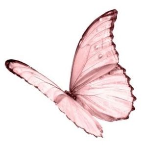 Meet your Posher, Mai